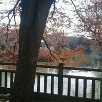 Photo taken at 碑文谷公園 ボート乗り場 by Take S. on 1/9/2012