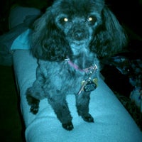 Photo taken at PetSmart by Judy F. on 10/12/2011