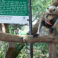 Photo taken at Nandankanan Zoological Park by Subrat D. on 8/10/2012