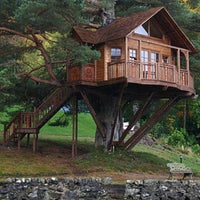 Magic Tree Resort Resort In Kissimmee Magic Tree Resort Resort In Kissimmee