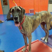 Photo taken at Urban Pooch Canine Life Center by Ryan B. on 12/15/2011