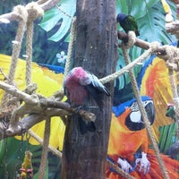 รูปภาพถ่ายที่ Kölle Zoo โดย Gülşah เมื่อ 8/23/2012
