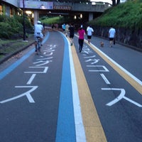 駒沢オリンピック公園ジョギングコース 駒沢公園 駒沢公園1 1 駒沢オリンピック公園ジョギングコース 駒沢公園 駒沢公園1 1