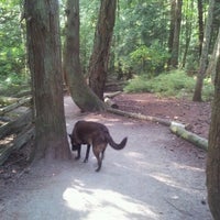 Photo taken at Centennial Park by glenn l. on 8/8/2012