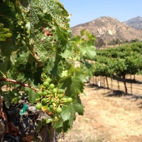 6/3/2012にDavid L.がOrfila Vineyards and Wineryで撮った写真