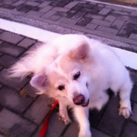 Photo taken at Dog park by Kae na M. on 4/21/2012