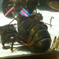 Foto scattata a Red Lobster da Jorge A. V. il 9/1/2012