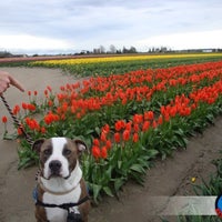 Photo taken at Dogs Best Friend: Dog Walking|Training|Care by Chris C. on 4/14/2012