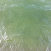 8/27/2011にLisa B.がTrio On The Bayで撮った写真