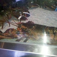รูปภาพถ่ายที่ Red Lobster โดย Mark a. เมื่อ 10/30/2011
