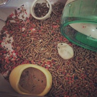 Photo taken at Hime Hammie Petshop by Delzyanna S. on 6/13/2012