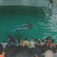 Photo taken at Pentas Lumba2, Paus Putih, dan Singa Laut by Aan T. on 10/2/2011