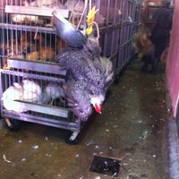 Photo taken at Mohamed Live Poultry/West Demerara Meat Market by Rey S. on 4/7/2012