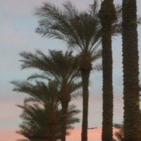 Freelife International Office In Phoenix Freelife International Office In Phoenix