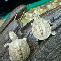 Cape Cod Museum Of Natural History - 6 tips from 411 visitors