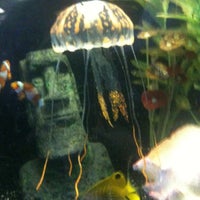 Photo taken at Fish Store by Brendon M. on 5/6/2012