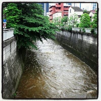 Photo taken at 神田川 東中野～小滝橋 by 大将 on 5/28/2012