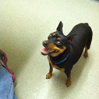 Gwinnett Animal Clinic - Lawrenceville, GA Gwinnett Animal Clinic - Lawrenceville, GA