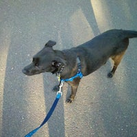 neshaminy vet hospital