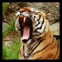 7/11/2012 tarihinde Aydin A.ziyaretçi tarafından Zoo Berlin'de çekilen fotoğraf