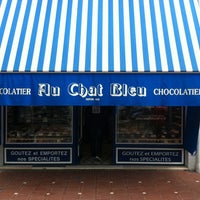 Chat Bleu Chocolaterie 2 Conseils