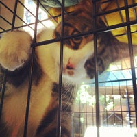 Photo taken at Manhattan Cat Specialists by Brad R. on 7/10/2012
