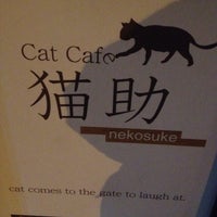 Photos At 猫カフェ 猫助 厚木市 神奈川県
