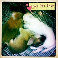 Photo taken at Love pet by Ookaik on 2/25/2012
