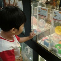 pet lover centre kembangan