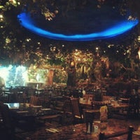 Rainforest Cafe Now Closed American Restaurant In Burlington