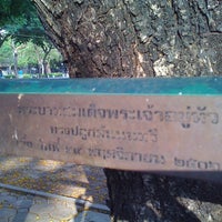 Photo taken at ต้นนนทรีที่พระบาทสมเด็จพระเจ้าอยู่หัวทรงปลูก (The King&amp;#39;s Trees) by Raymond on 3/23/2012