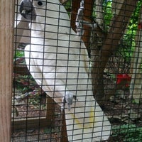 Foto tomada en Binghamton Zoo at Ross Park  por Kate F. el 8/29/2012