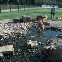 รูปภาพถ่ายที่ Eberwein Dog Park โดย Kimberly C. เมื่อ 8/10/2012