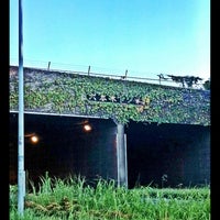六本木トンネル Tunnel In 港区
