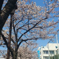 Photo taken at 江東区立 東陽中学校 by Hideo O. on 4/8/2012