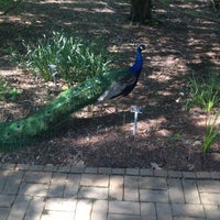 5/14/2012 tarihinde Angie H.ziyaretçi tarafından Kingwood Center Gardens'de çekilen fotoğraf