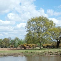 Photo taken at Richmond Doggy Pond by Sergey E. on 4/29/2011
