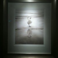4/20/2012 tarihinde Rose C.ziyaretçi tarafından Brookover Gallery'de çekilen fotoğraf