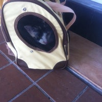 Photo taken at Singapore Veterinary Animal Clinic by Annie U. on 9/3/2011