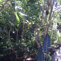 板橋区立 熱帯環境植物館 404 Ziyaretcidan 9 Tavsiye 板橋区立 熱帯環境植物館 404 Ziyaretcidan 9 Tavsiye