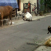 Review Masjid Kramat Pela