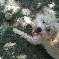 Photo taken at Sierra Vista Park by Sue M. on 8/22/2011