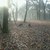 Photo taken at Stiphout Bos by Gooss on 11/19/2011