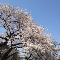 Photo taken at 下布田公園 by なべ り. on 4/9/2012