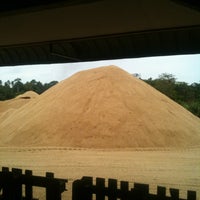 Kampung Pantai Ali 1 Tip