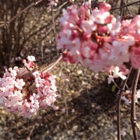 Photo taken at University of Delaware Botanical Garden #udel by Ross S. on 3/8/2012