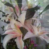 Photo taken at Aspire my Flowers by Mol S. on 5/5/2012