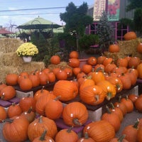 Photo taken at Produce Station by Carrie C. on 10/16/2011