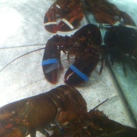 Photo taken at Red Lobster by Bryan N. on 12/3/2011