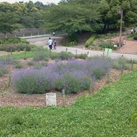荒子川公園ガーデンプラザ 港区 67 Visitors